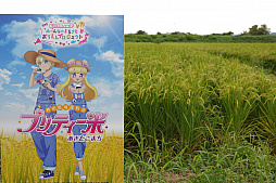 画像ギャラリー No.006のサムネイル画像 / 「ワッチャプリマジ！」，マイキャラボイスのキャストが発表。アニメに登場する妖精“タントちゃん”の声優は伊藤かな恵さんに