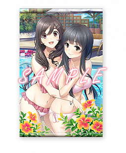 画像ギャラリー No.005のサムネイル画像 / 「フルキスS」「フルキスSS」のSwitch向けDL版の予約受付と,PS4/Switch向け「フルキスS」体験版の配信がスタート