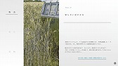 画像ギャラリー No.008のサムネイル画像 / アドベンチャーゲーム「ナツノカナタ」の早期アクセスがSteamでスタート