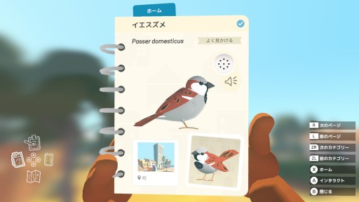 画像ギャラリー No.017のサムネイル画像 / 本日発売となったSwitch版「Alba: A Wildlife Adventure」のプレイレポートを掲載。豊かな自然の中で,動物を撮影する夏休み