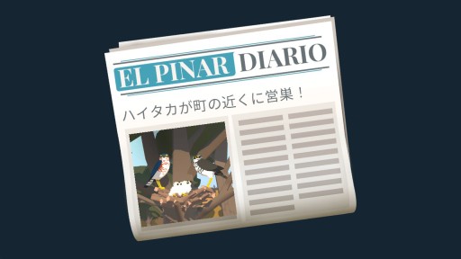 画像ギャラリー No.018のサムネイル画像 / 本日発売となったSwitch版「Alba: A Wildlife Adventure」のプレイレポートを掲載。豊かな自然の中で,動物を撮影する夏休み