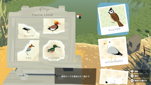 画像ギャラリー No.020のサムネイル画像 / 本日発売となったSwitch版「Alba: A Wildlife Adventure」のプレイレポートを掲載。豊かな自然の中で,動物を撮影する夏休み