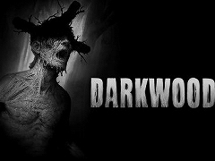 PS4/Switch版「Darkwood」が9月2日に発売決定。拾い集めた資源を駆使して危険な森からの脱出を目指す，2Dサバイバルホラーアクション