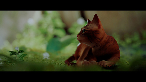 画像ギャラリー No.002のサムネイル画像 / 話題の猫ゲー「Stray」の,“猫飼いさんに刺さりまくる”仕草集 「ミニシアター4Gamer」:第8回