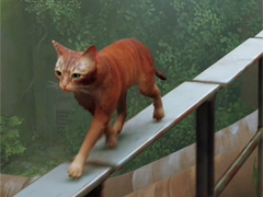 話題の猫ゲー「Stray」の，“猫飼いさんに刺さりまくる”仕草集　「ミニシアター4Gamer」：第8回