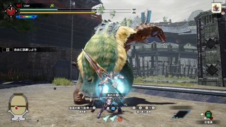 画像ギャラリー No.029のサムネイル画像 / 「モンスターハンターライズ：サンブレイク」の体験版が6月15日より配信に。棘竜エスピナスや黒蝕竜ゴア・マガラも参戦