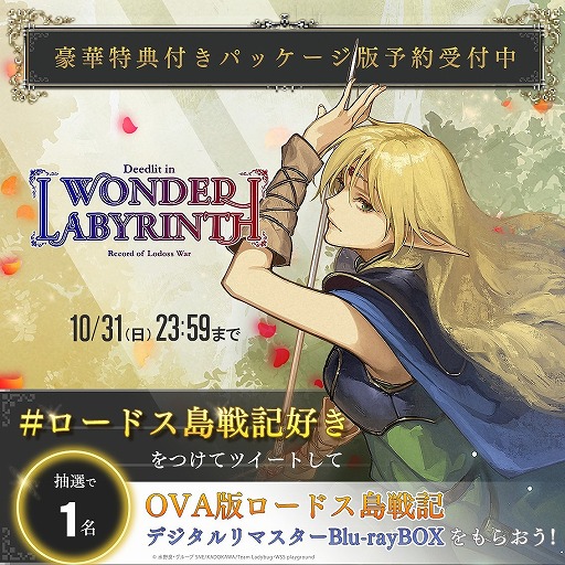 画像ギャラリー No.005のサムネイル画像 / 「ロードス島戦記 −ディードリット・イン・ワンダーラビリンス−」，パッケージ版の特典情報が公開