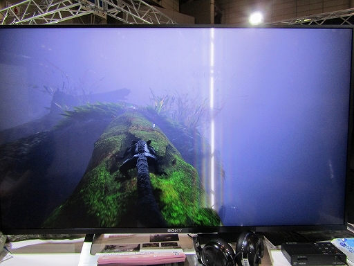画像ギャラリー No.003のサムネイル画像 / ［TGS 2021］アクションADV「AWAY」試遊レポート。大自然を描く美麗なグラフィックスや，モモンガの親子を待ち受けるドラマティックな展開に注目