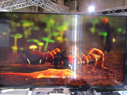 画像ギャラリー No.010のサムネイル画像 / ［TGS 2021］アクションADV「AWAY」試遊レポート。大自然を描く美麗なグラフィックスや，モモンガの親子を待ち受けるドラマティックな展開に注目