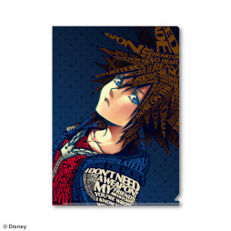 画像ギャラリー No.001のサムネイル画像 / 「キングダムハーツ」より,ソラとロクサスのメタリックファイルが登場