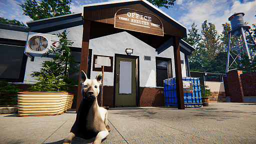 画像ギャラリー No.002のサムネイル画像 / 動物保護施設の運営シム「Animal Shelter」が3月23日に日本語対応でリリースへ。不運な犬や猫たちの世話して里親を探してあげよう