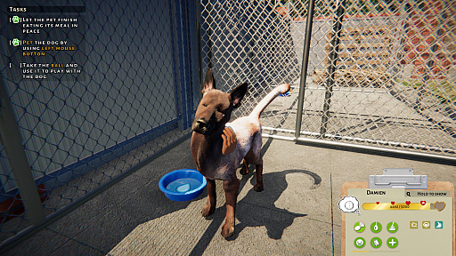 画像ギャラリー No.003のサムネイル画像 / 動物保護施設の運営シム「Animal Shelter」が3月23日に日本語対応でリリースへ。不運な犬や猫たちの世話して里親を探してあげよう