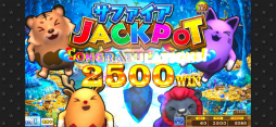 カラコロッタ コナステ