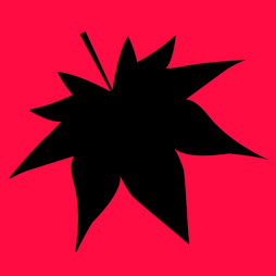 画像ギャラリー No.005のサムネイル画像 / 「スイカゲーム BGMコレクション」，Apple MusicやSpotifyなどの音楽配信サービスで配信開始。メインテーマを含む全6曲を収録