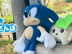 「ソニック」公式SNS動画企画 “ソニさんぽ”11月のさんぽ動画が公開に