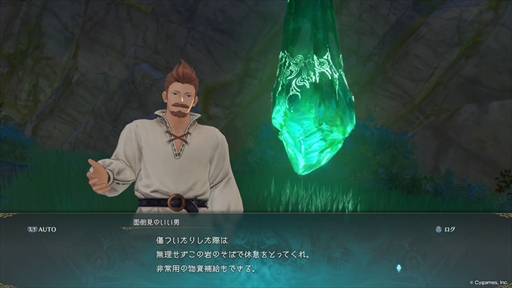 画像ギャラリー No.013のサムネイル画像 / ［プレイレポ］「GRANBLUE FANTASY: Relink」体験版では，原作グラブルの世界観を堪能できる。歯ごたえのあるアクションも楽しめる内容に