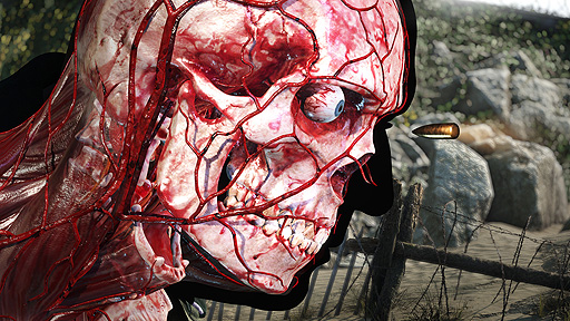 画像ギャラリー No.003のサムネイル画像 / 2022年リリース予定の「Sniper Elite 5」,PS5とPS4向けの発売をGame Source Entertainmentが国内向けに発表