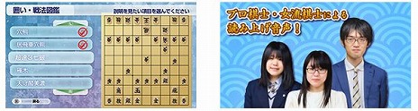 画像ギャラリー No.007のサムネイル画像 / PC版「遊んで将棋が強くなる！ 銀星将棋DX2」が3月11日に発売へ。充実した初心者サポート機能と，豊富なデータで実力アップを目指そう