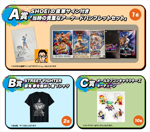 画像ギャラリー No.001のサムネイル画像 / イーカプコン,「カプコン ファイティング コレクション」の購入者キャンペーンを実施