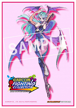 画像ギャラリー No.028のサムネイル画像 / 「カプコン ファイティング コレクション」予約受付開始。予約特典やイーカプコン&ショップ別特典の情報が公開に