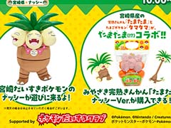 「ナッシーリゾート in 新宿みやざき館KONNE」2月10日，11日に開催。たまごポケモン「タマタマ」とコラボしたきんかんや，ナッシーコラボ商品を販売