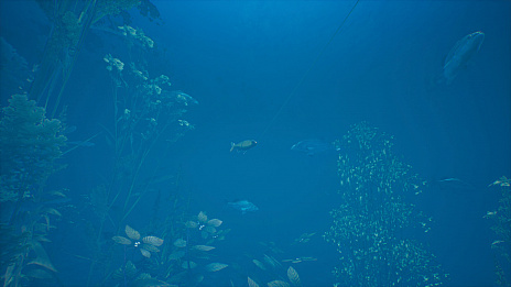 画像ギャラリー No.005のサムネイル画像 / 「Bassmaster Fishing 2022」のPS5/PS4版が本日リリースに。大自然を舞台にしたバス釣りに挑戦しよう