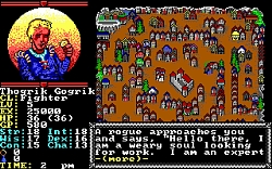 画像ギャラリー No.016のサムネイル画像 / Gold Box「Dungeons & Dragons」クラシック作品のSteamストアページが公開に。3月30日より配信予定