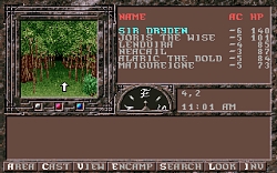 画像ギャラリー No.041のサムネイル画像 / Gold Box「Dungeons & Dragons」クラシック作品のSteamストアページが公開に。3月30日より配信予定