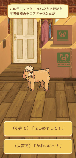 画像ギャラリー No.002のサムネイル画像 / 老犬とは人生における親友だ。「オールドフレンズ・ドッグゲーム」が見せた,老犬ホームでの健やかな毎日