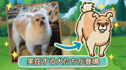 画像ギャラリー No.015のサムネイル画像 / 老犬とは人生における親友だ。「オールドフレンズ・ドッグゲーム」が見せた,老犬ホームでの健やかな毎日