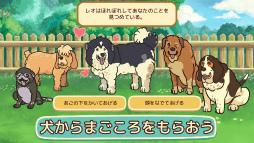 画像ギャラリー No.018のサムネイル画像 / 老犬とは人生における親友だ。「オールドフレンズ・ドッグゲーム」が見せた,老犬ホームでの健やかな毎日