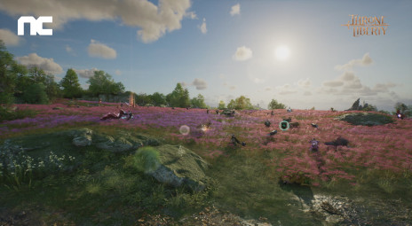 画像ギャラリー No.005のサムネイル画像 / 新作MMORPG「THRONE AND LIBERTY」，開発陣による紹介動画“Director’s Preview”を公開。スローガンは“Play For All”