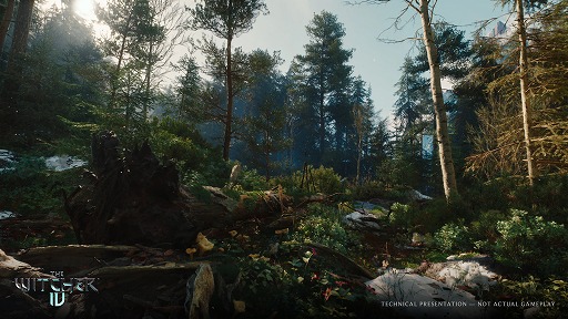 画像ギャラリー No.019のサムネイル画像 / 「The Witcher IV」ゲーム画面を交えた技術デモを公開。PS5で60FPSで動作,レイトレーシングにも対応