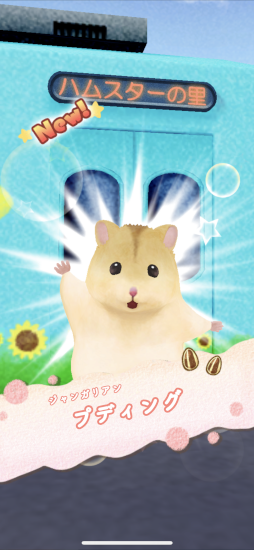 画像ギャラリー No.005のサムネイル画像 / ハムスターたちとののどかな暮らし。温かみのある作風が魅力のスマホ向け放置シミュレーションゲーム「ハムスターの里」CBTプレイレポート