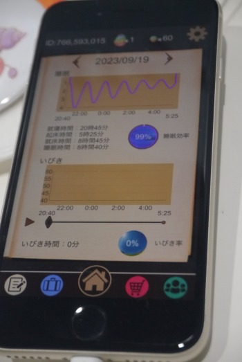 画像ギャラリー No.008のサムネイル画像 / ［TGS2023］夜は睡眠改善，昼間は歩行。2つのテーマをゲーミフィケーションする「夢冒険」の開発者に話を聞いてみた