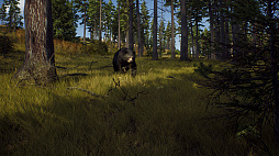 画像ギャラリー No.003のサムネイル画像 / オープンワールド型ハンティングゲーム「Way of the Hunter」がアナウンス。144平方キロにもおよぶ広大な世界で狩猟生活を送ろう