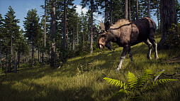 画像ギャラリー No.005のサムネイル画像 / オープンワールド型ハンティングゲーム「Way of the Hunter」がアナウンス。144平方キロにもおよぶ広大な世界で狩猟生活を送ろう
