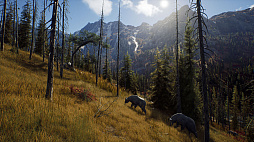画像ギャラリー No.006のサムネイル画像 / オープンワールド型ハンティングゲーム「Way of the Hunter」がアナウンス。144平方キロにもおよぶ広大な世界で狩猟生活を送ろう