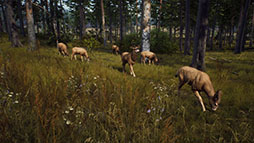 画像ギャラリー No.002のサムネイル画像 / PC版「Way of the Hunter」がアップデート,更新内容も公開に