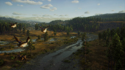 画像ギャラリー No.004のサムネイル画像 / PC版「Way of the Hunter」アップデート版を配信開始