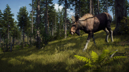 画像ギャラリー No.005のサムネイル画像 / PC版「Way of the Hunter」アップデート版を配信開始