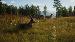 画像ギャラリー No.006のサムネイル画像 / PC版「Way of the Hunter」アップデート版を配信開始