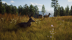 画像ギャラリー No.005のサムネイル画像 / 「Way of the Hunter」,新しい乗り物「UTV」を入手できる無料DLC登場