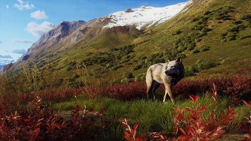 画像ギャラリー No.005のサムネイル画像 / 狩猟シム「Way of the Hunter」の無料DLC“Aurora Shores”が近日リリース。最新トレイラーが公開に
