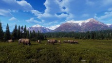 画像ギャラリー No.003のサムネイル画像 / 「Way of the Hunter」の大型DLC「オーロラ ショアーズ」が本日配信に。最新アップデートVersion 1.22も登場