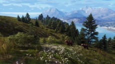 画像ギャラリー No.008のサムネイル画像 / 「Way of the Hunter」の大型DLC「オーロラ ショアーズ」が本日配信に。最新アップデートVersion 1.22も登場