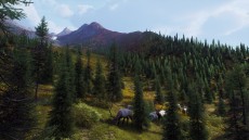 画像ギャラリー No.010のサムネイル画像 / 「Way of the Hunter」の大型DLC「オーロラ ショアーズ」が本日配信に。最新アップデートVersion 1.22も登場