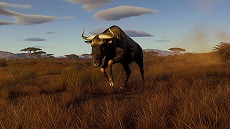画像ギャラリー No.003のサムネイル画像 / 狩猟シム「Way of the Hunter」,アフリカの雄大な自然を舞台にした新DLC「ティカムーン平原」を発表。アナウンストレイラーも公開に