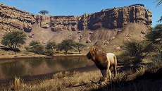 画像ギャラリー No.004のサムネイル画像 / 狩猟シム「Way of the Hunter」,アフリカの雄大な自然を舞台にした新DLC「ティカムーン平原」を発表。アナウンストレイラーも公開に