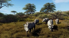 画像ギャラリー No.005のサムネイル画像 / 狩猟シム「Way of the Hunter」,アフリカの雄大な自然を舞台にした新DLC「ティカムーン平原」を発表。アナウンストレイラーも公開に